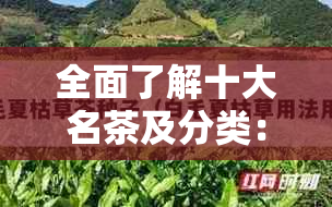 全面了解十大名茶及分类：名称、产地、口感和特点详解