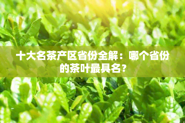 十大名茶产区省份全解：哪个省份的茶叶更具名？