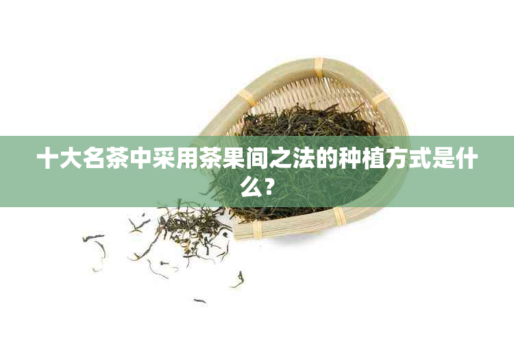 十大名茶中采用茶果间之法的种植方式是什么？