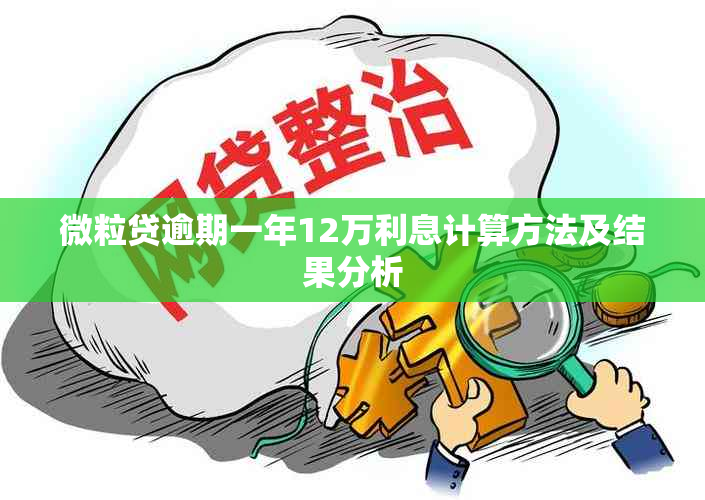 微粒贷逾期一年12万利息计算方法及结果分析