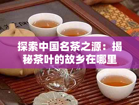 探索中国名茶之源：揭秘茶叶的故乡在哪里