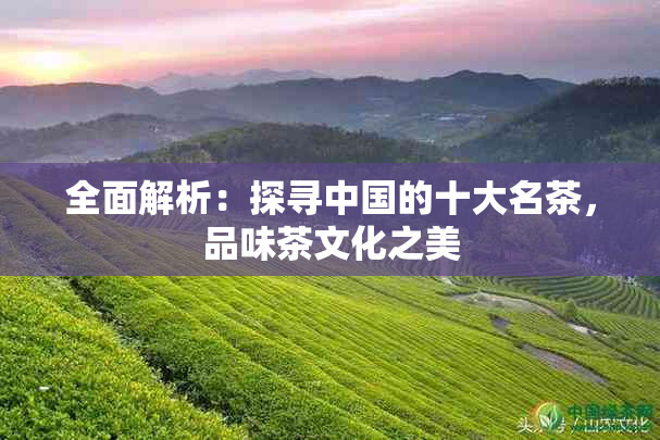 全面解析：探寻中国的十大名茶，品味茶文化之美