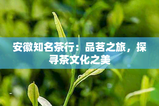 安徽知名茶行：品茗之旅，探寻茶文化之美