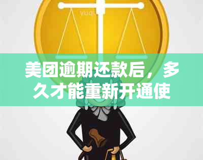 美团逾期还款后，多久才能重新开通使用服务？