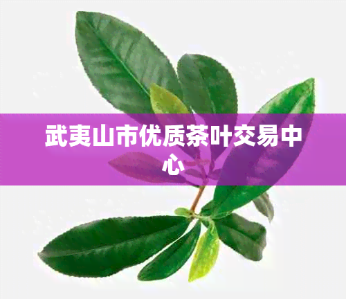 武夷山市优质茶叶交易中心