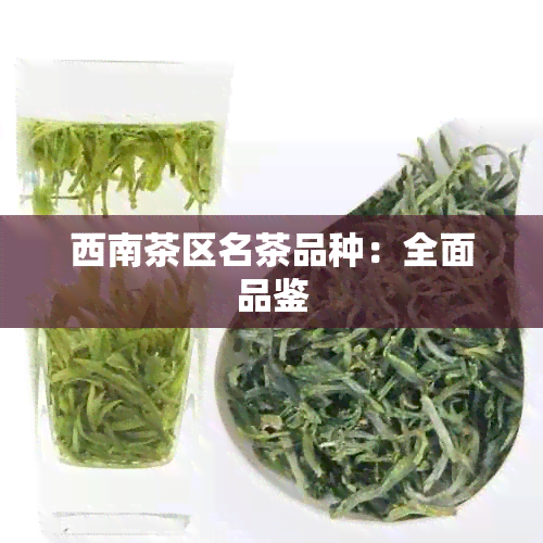 西南茶区名茶品种：全面品鉴