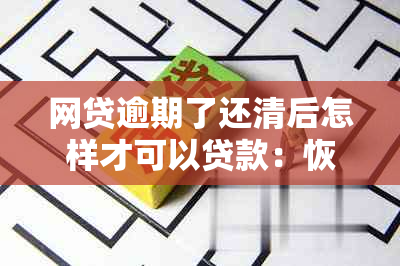 网贷逾期了还清后怎样才可以贷款：恢复信用及后续操作指南