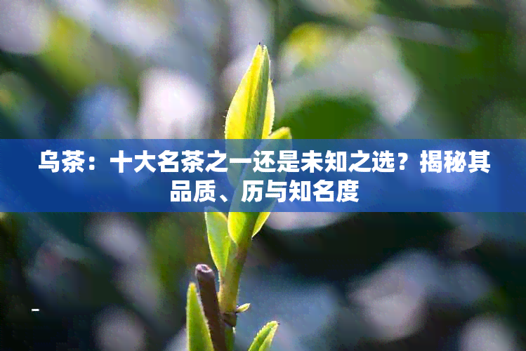 乌茶：十大名茶之一还是未知之选？揭秘其品质、历与知名度