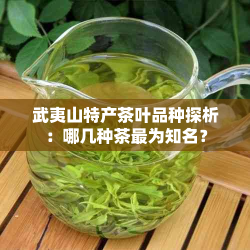 武夷山特产茶叶品种探析：哪几种茶最为知名？