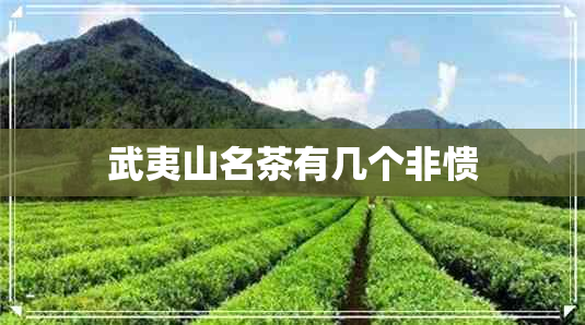 武夷山名茶有几个非愦