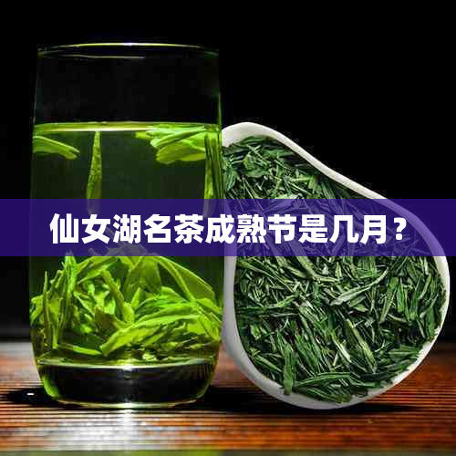 仙女湖名茶成熟节是几月？