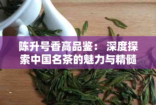 陈升号香高品鉴： 深度探索中国名茶的魅力与精髓