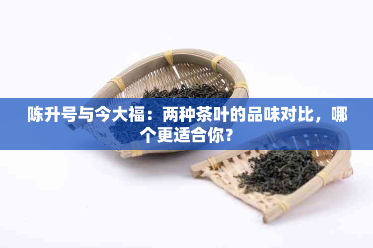 陈升号与今大福：两种茶叶的品味对比，哪个更适合你？