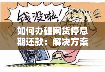 如何办硅网货停息期还款：解决方案与建议