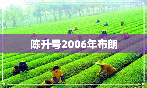 陈升号2006年布朗