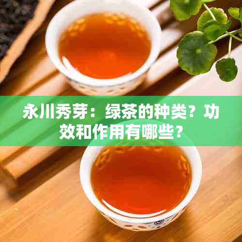 永川秀芽：绿茶的种类？功效和作用有哪些？