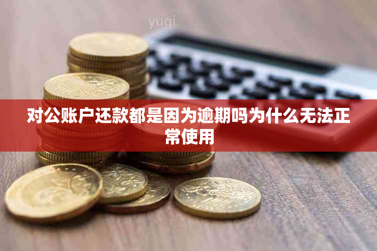 对公账户还款都是因为逾期吗为什么无法正常使用