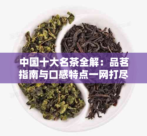 中国十大名茶全解：品茗指南与口感特点一网打尽