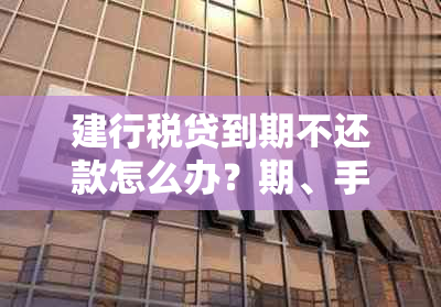 建行税贷到期不还款怎么办？期、手续办理全攻略！