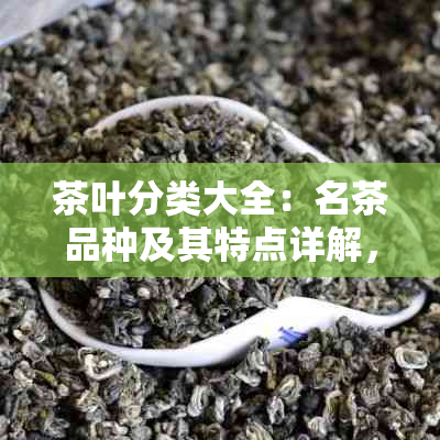 茶叶分类大全：名茶品种及其特点详解，帮助您轻松挑选适合自己的茶叶