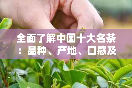 全面了解中国十大名茶：品种、产地、口感及泡法一网打尽！