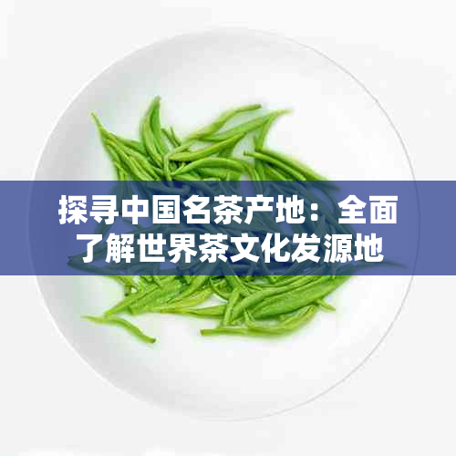 探寻中国名茶产地：全面了解世界茶文化发源地