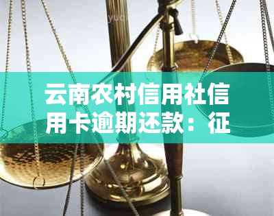 云南农村信用社信用卡逾期还款：影响、处理流程及解决方法全面解析