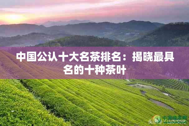 中国公认十大名茶排名：揭晓更具名的十种茶叶