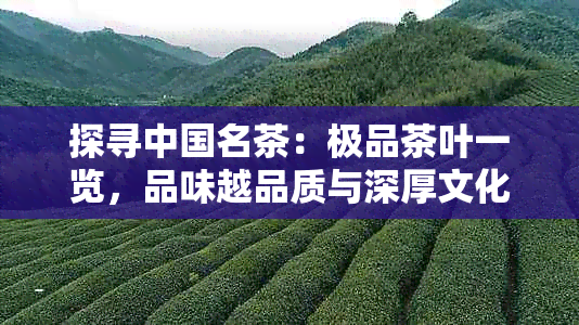 探寻中国名茶：极品茶叶一览，品味越品质与深厚文化底蕴