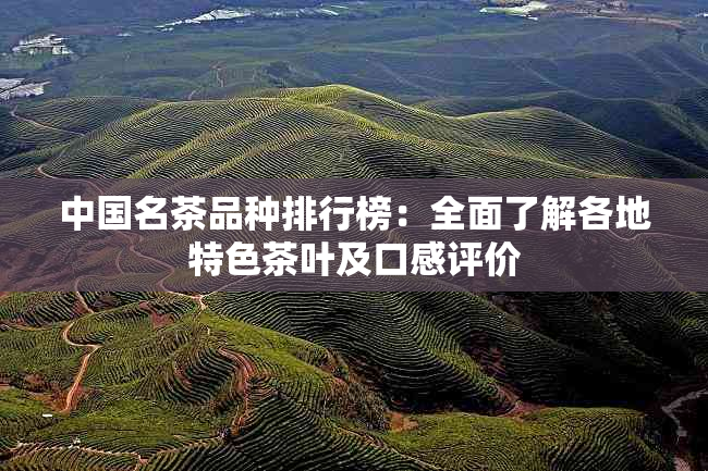 中国名茶品种排行榜：全面了解各地特色茶叶及口感评价