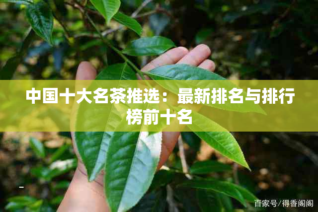 中国十大名茶推选：最新排名与排行榜前十名