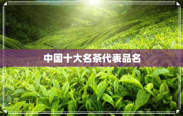 中国十大名茶代表品名