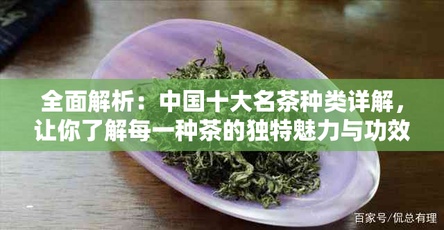 全面解析：中国十大名茶种类详解，让你了解每一种茶的独特魅力与功效