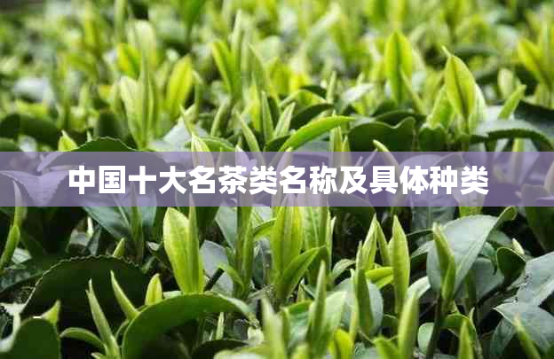 中国十大名茶类名称及具体种类