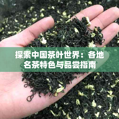 探索中国茶叶世界：各地名茶特色与品尝指南