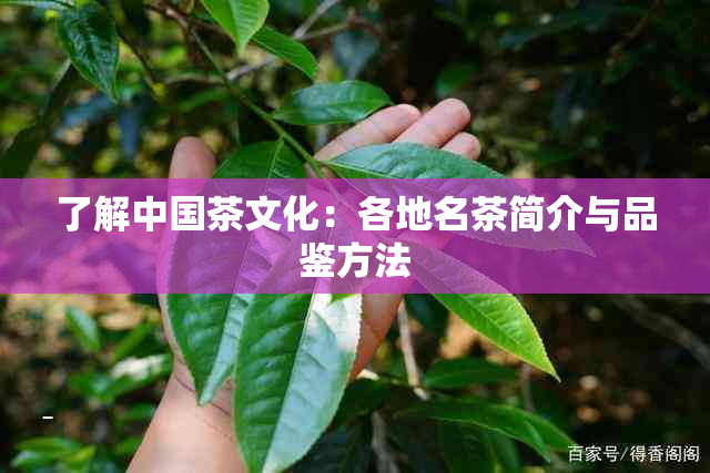 了解中国茶文化：各地名茶简介与品鉴方法