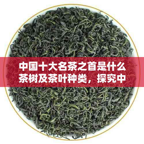 中国十大名茶之首是什么茶树及茶叶种类，探究中国十大名茶之首的奥秘