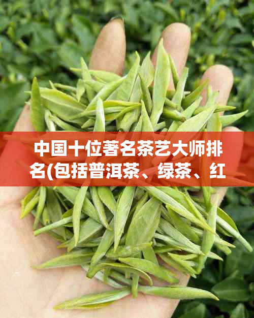 中国十位著名茶艺大师排名(包括普洱茶、绿茶、红茶等)