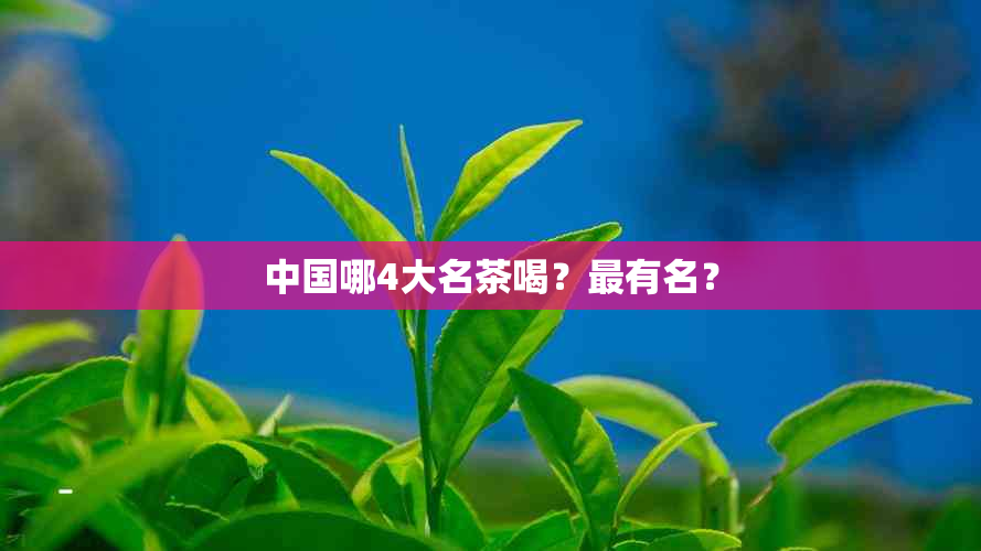 中国哪4大名茶喝？最有名？