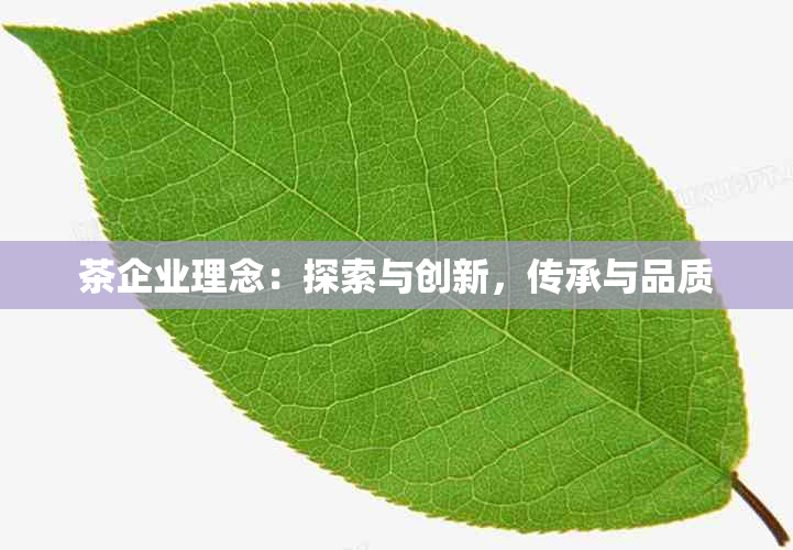 茶企业理念：探索与创新，传承与品质