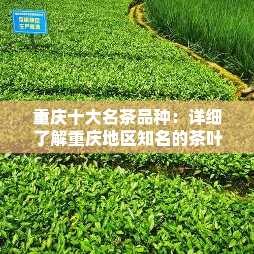 重庆十大名茶品种：详细了解重庆地区知名的茶叶种类和。