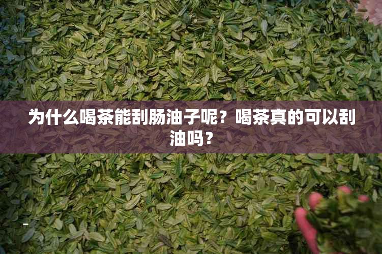 为什么喝茶能刮肠油子呢？喝茶真的可以刮油吗？