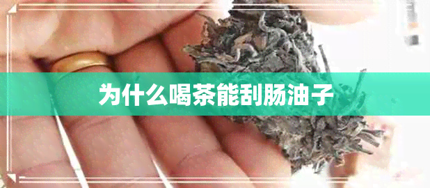 为什么喝茶能刮肠油子