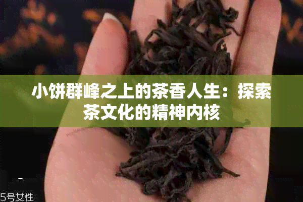 小饼群峰之上的茶香人生：探索茶文化的精神内核