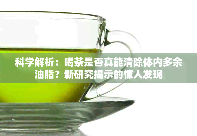 科学解析：喝茶是否真能清除体内多余油脂？新研究揭示的惊人发现