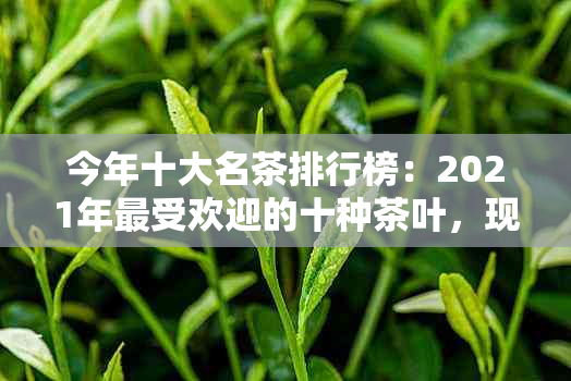 今年十大名茶排行榜：2021年更受欢迎的十种茶叶，现在最火的十大名茶排名