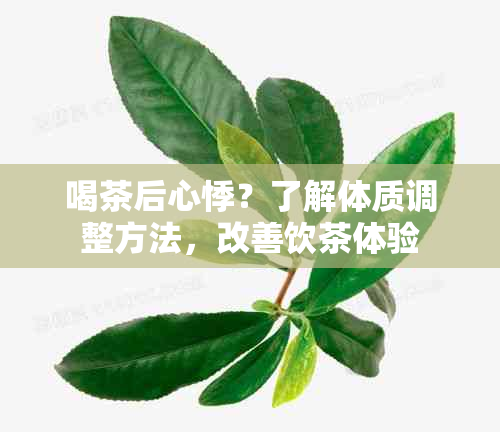 喝茶后心悸？了解体质调整方法，改善饮茶体验