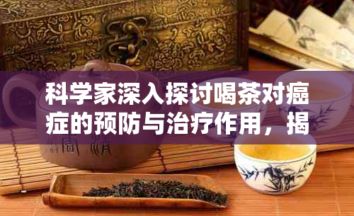 科学家深入探讨喝茶对癌症的预防与治疗作用，揭示更多相关研究和临床实践