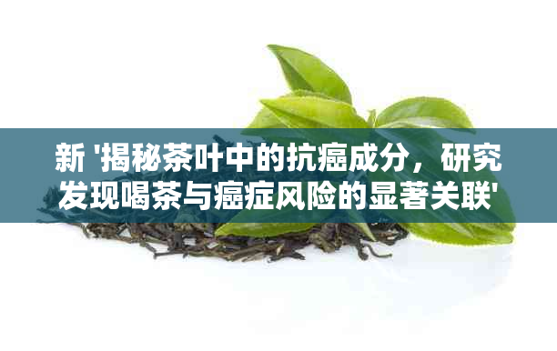 新 '揭秘茶叶中的抗癌成分，研究发现喝茶与癌症风险的显著关联'