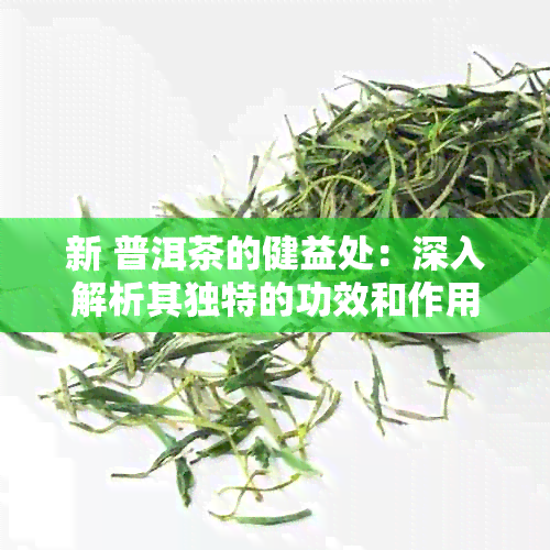 新 普洱茶的健益处：深入解析其独特的功效和作用，以及如何科学饮用